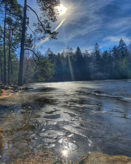 Frühling am See